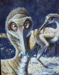 Foto: © 2005 The Field Museum, Jorge Gonzalez