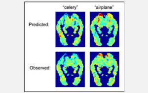 Foto: Science