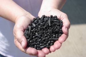 Foto: USDA-ARS, Prosser, Wash