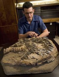 Foto: Jeff Gage, Florida Museum of Natural History