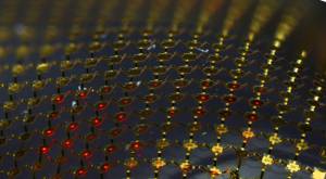 Foto: D. Stevenson y C. Conway, Beckman Institute, University of Illinois